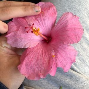 Meet your Posher, Benjamin